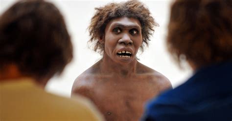 Neanderthal Bones Signs Of Their Sex Lives Big Think