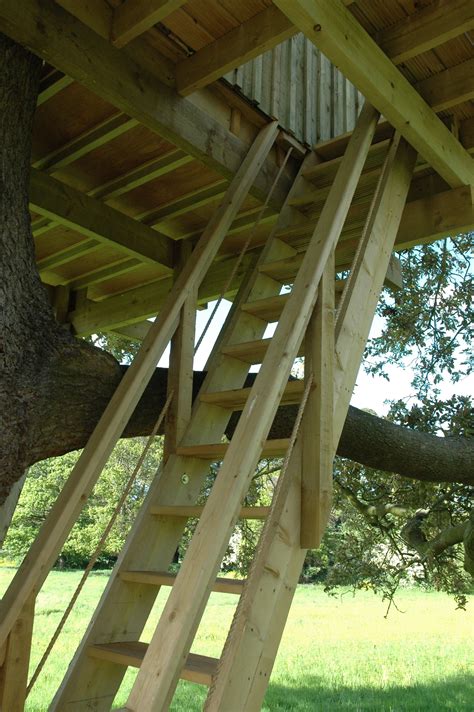 Tree House Ladder Plans House Decor Concept Ideas