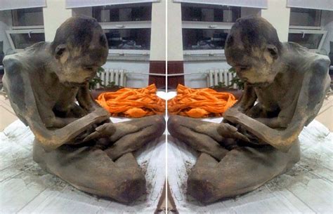 The Collective Intelligence Mummified 200 Year Old Monk Found ‘not Dead But In Very Deep