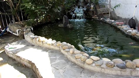 We did not find results for: 2000 Gallon Koi Pond after 3 weeks with new filtration system installed (after) - YouTube