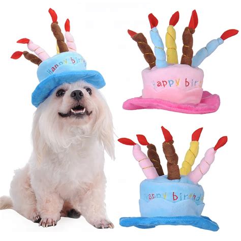 Dog Birthday Hat With Cake And Candles Design Pets Puppy Cap Cute Party