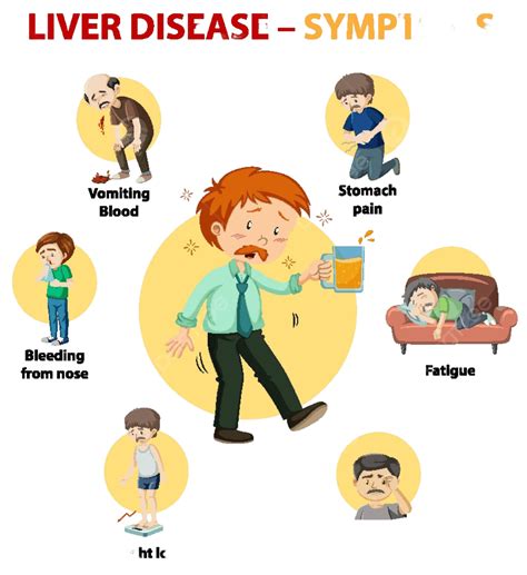 Cartoon Infographic Illustrating Symptoms Of Liver Disease Stomach Pain