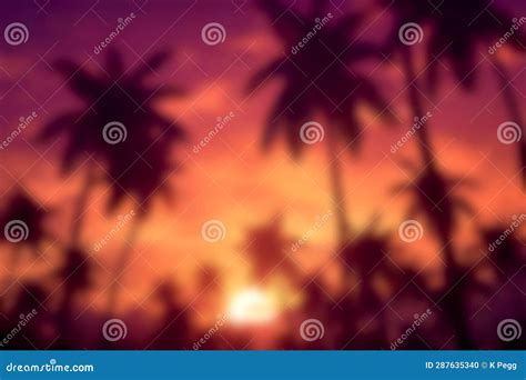 Soft Palm Trees Silhouette At Sunset Background Stock Illustration