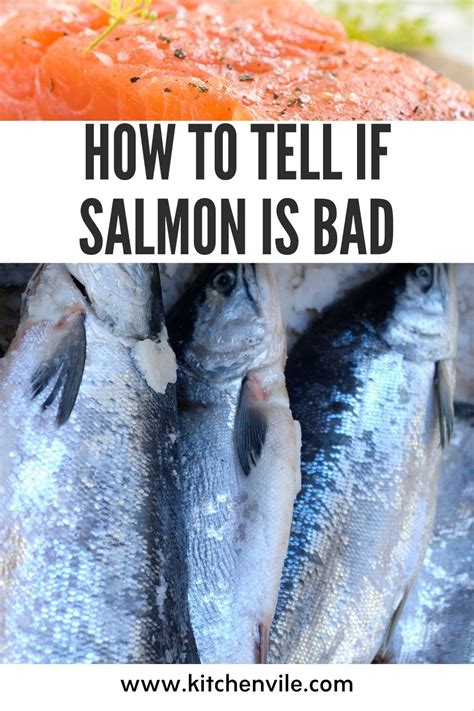How To Tell If Salmon Is Bad In 2021 Salmon Healthy Digestive System