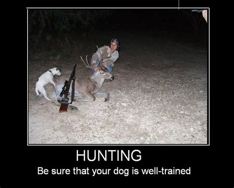 Funny Hunting Quotes Oneliners Quotesgram