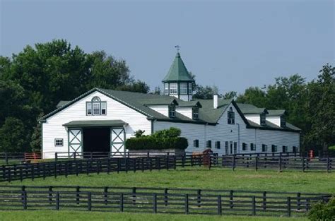 197 Best Images About Ky Horse Farms On Pinterest Horse
