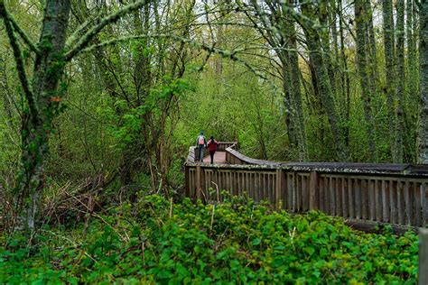 Billy Frank Jr Nisqually National Wildlife Refuge Experience Olympia