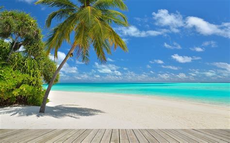 Caribbean zoom virtual backgrounds make boring meetings better. Free download tropical background 1440x1184 for your ...