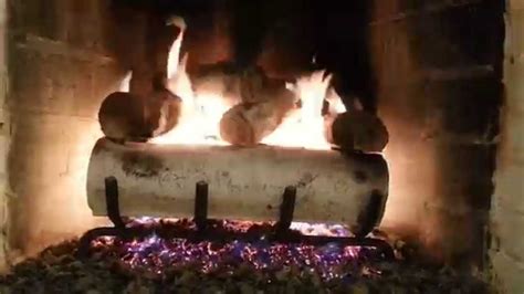 Traditional scene white tail design. 18" White Birch gas log set installed by ...