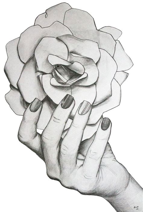 Rosas Dibujos A Lapiz Para Dibujar Reverasite