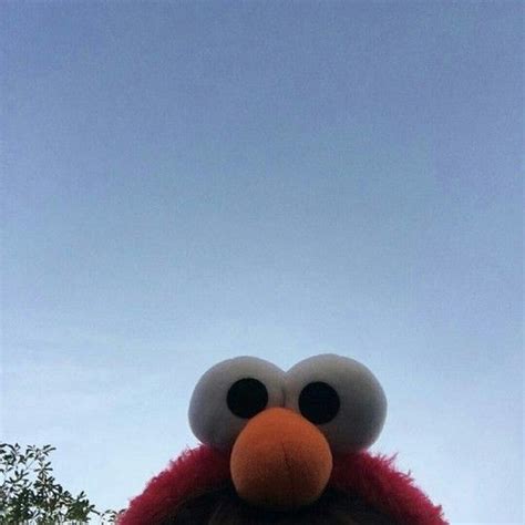 Pin By Dhgdmj Utiol On My Saves Elmo And Friends Elmo Funny Images