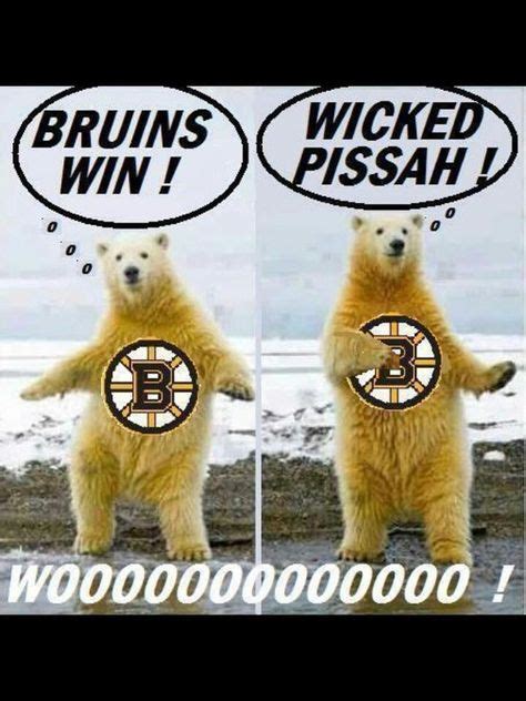 Find the newest bruin meme. Boston Bruins | Funny animals, Animals, Animal memes
