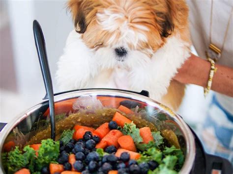 For over 22 years natural balance pet food has worked to provide the best possible nutrition for your pets. Best Vegan Dog Food REVIEWS Top Rated Organic Plant ...