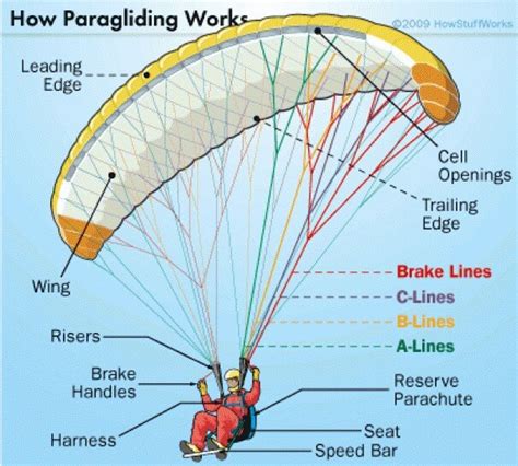 Paragliding In Bir Billing All You Need To Know
