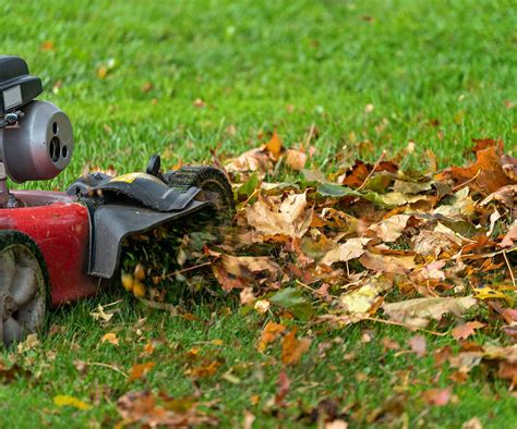 When Should You Stop Mowing Your Lawn In The Fall