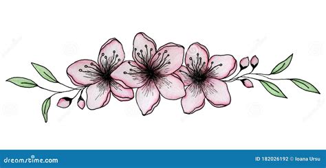 Hand Drawn Sakura Flowers Decoration In Ink And Pencil Elegant Cherry