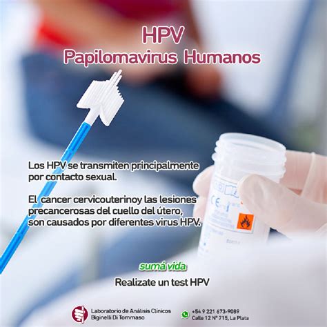 Los Papilomavirus Humanos Hpv Biginelli Di Tommaso