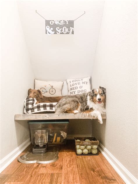 Cool Dog Room Ideas Under Stairs 2022