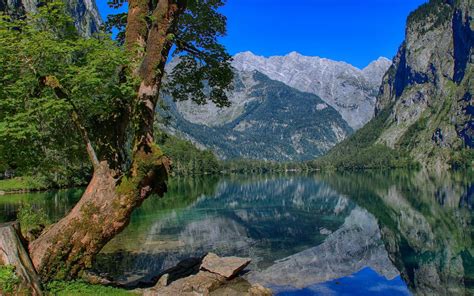 Download Wallpapers Obersee Lake Summer Mountains Berchtesgaden Alps