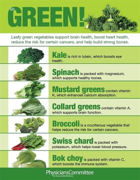 Eat Your Greens Green Leafy Vegetable Food Health Benefits Green