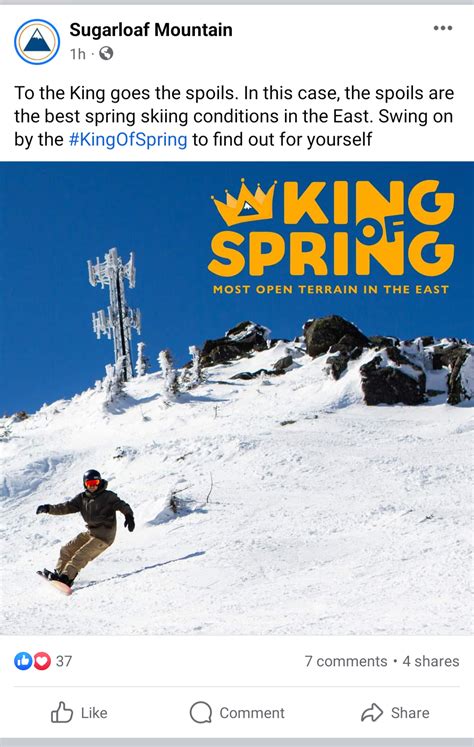 King Of Spring — Snowjournal 20