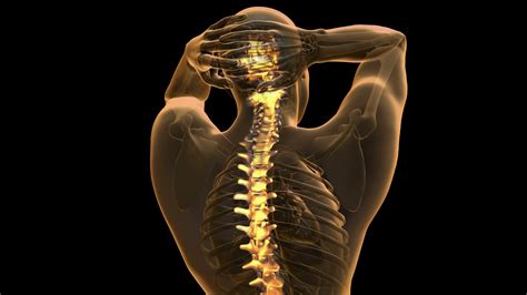 Learning the best practices and design patterns will help you avoid these problems and. backbone. backache. science anatomy scan of human spine ...