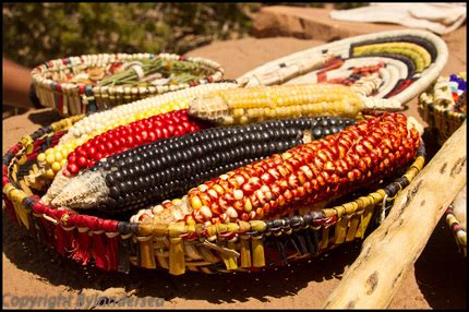 In my country, people usually eat different types of vegetables, fruits according to their seasons, and also meat dishes like — soup, beshparmak, and much more. Food - HOPI TRIBE