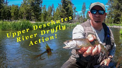 Amazing Day Of Fly Fishing On The Upper Deschutes River Lots Of Trout