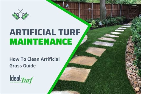How to remove pet odor. Artificial Turf Maintenance: How To Clean Artificial Grass