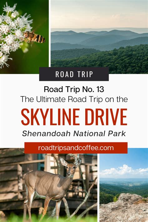 The Ultimate Road Trip On The Skyline Drive Through Shenandoah National