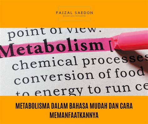 Metabolisma dalam bahasa mudah dan cara memanfaatkannya