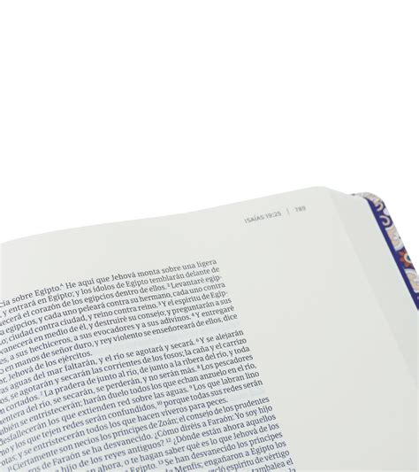 Biblia De Apuntes Rvr Edicion Letra Grande Tela Negro Libreria