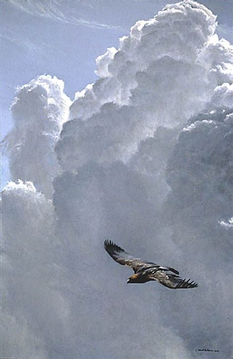 Artistnaturalist Robert Bateman Canadian 1930 Painting Flying