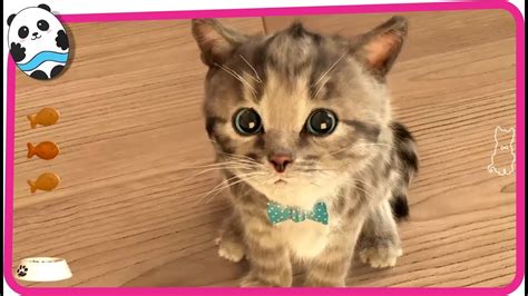 Play Fun Pet Care Kids Games - Little Kitten - My Favorite ...