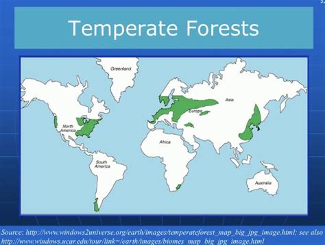 Temperate Rainforest World Map Interactive Map