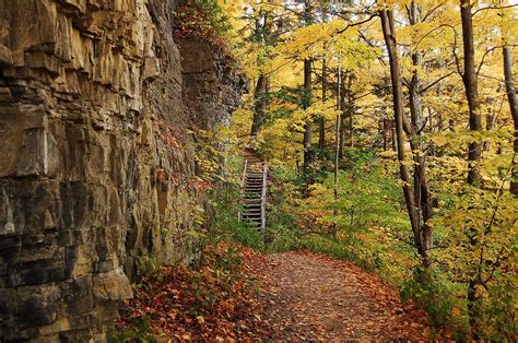 Thacher Park Takes You To The Most Spectacular Fall Foliage In New York