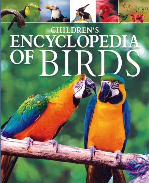 Childrens Encyclopedia Of Birds Nhbs Bookstore