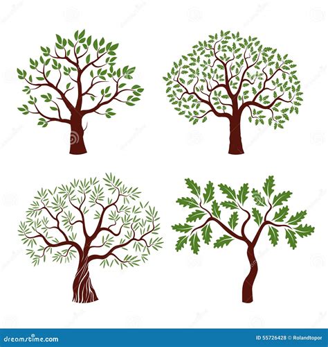 Set Of Color Trees Stock Illustration Illustration Of Color 55726428
