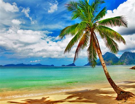 Free Download Tropical Beach Desktop Background Hd Wallpapers