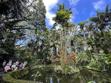 Hawaii Tropical Botanical Garden Best Things To Do In Hilo Hi