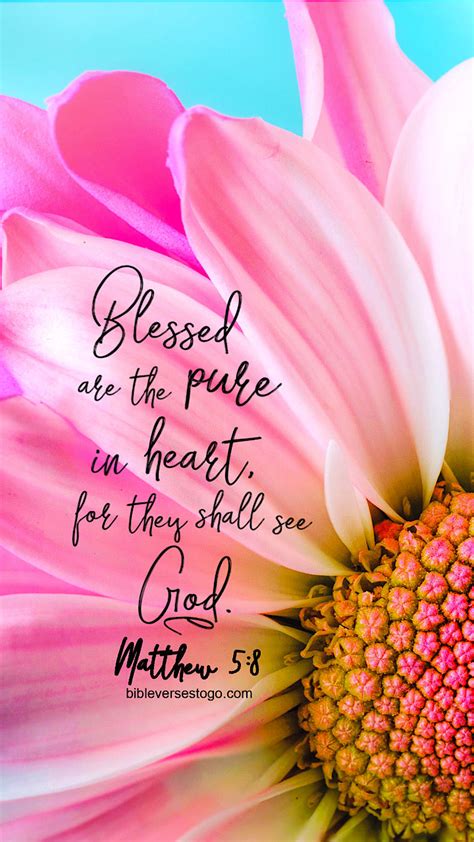 Pink Daisy Matthew 58 Bible Verses To Go