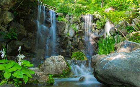 River Waterfall Rocks Plants Trees Nature Wallpaper 2560x1600 125472 Wallpaperup