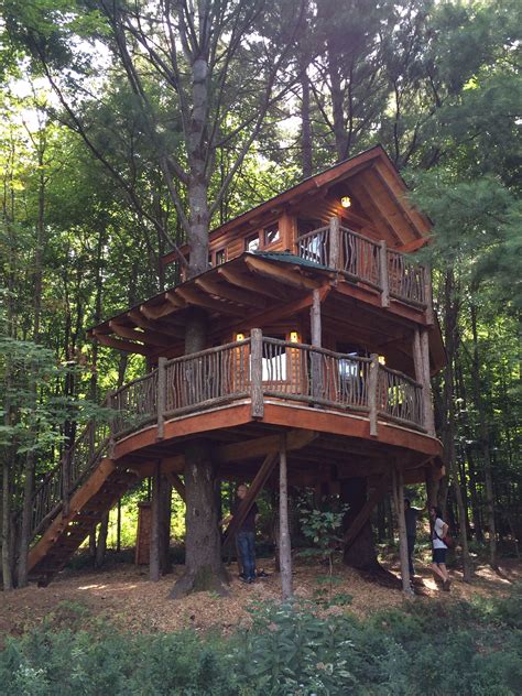 Pin on treehouses