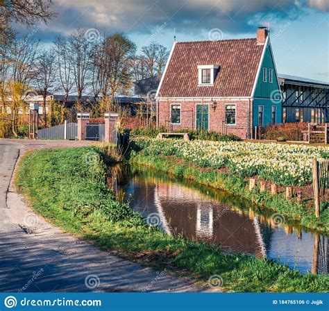 Tipical Dutch Buildings In Zaanstad Village Sunny Spring View Of