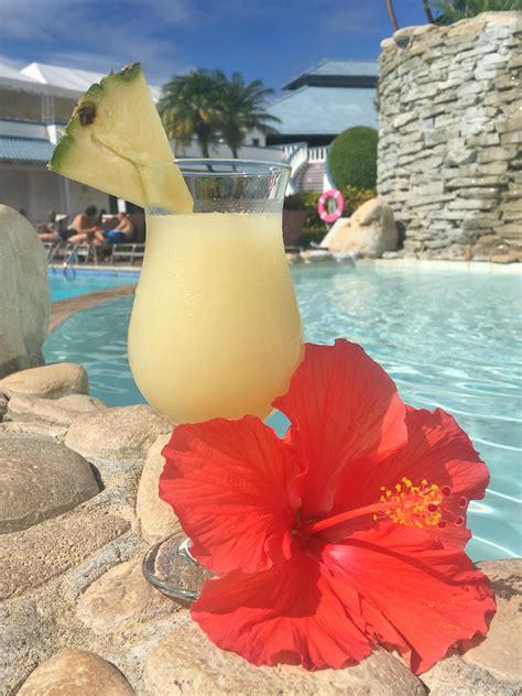 Maybe you would like to learn more about one of these? Tropical drinks await you at Sunscape Puerto Plata ...