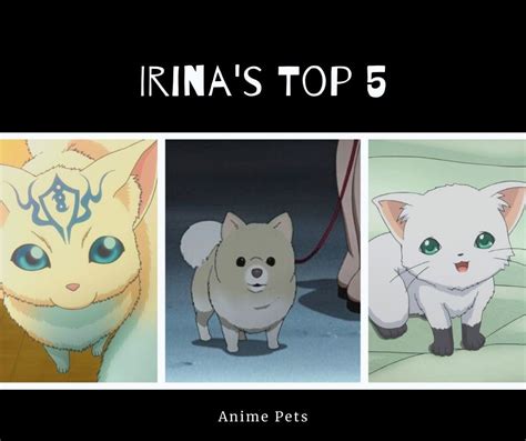 Top 5 Anime Pets I Drink And Watch Anime