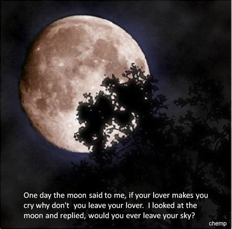 The owl and the pussycat, a romantic fairy tale classic! Romantic Moon Quotes. QuotesGram