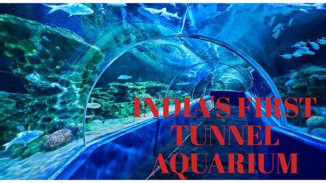 New Holiday Spot In Chennai Indias First Tunnel Aquarium In Ecr