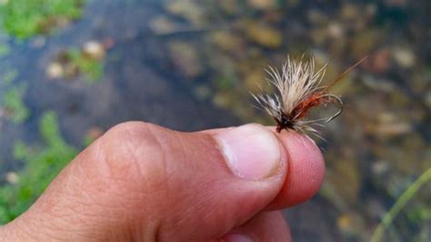 How To Make Your Own Killer Fly Hatch Magazine Xpert Fly Fisher