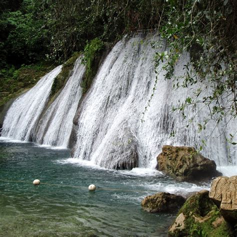 Reach Falls Port Antonio All You Need To Know Before You Go Updated 2021 Port Antonio